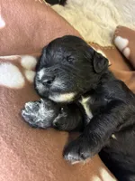 processed/dd25e584-0785-4203-88ca-42e19af1c88f/listing/70016ec7-47b9-4150-9087-2ca63527b1e8/c11a0dd8-0486-467b-80e6-5667e2e9460d