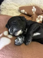 processed/dd25e584-0785-4203-88ca-42e19af1c88f/listing/70016ec7-47b9-4150-9087-2ca63527b1e8/fa468f8a-6db2-4061-8c7a-d3a7eafd9eb6