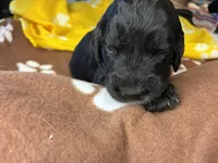 processed/dd25e584-0785-4203-88ca-42e19af1c88f/listing/9fbbf27d-59db-4939-a4f8-f955282e58ed/24be0eb2-343e-482f-9fbd-4575fba79b05