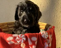 processed/dd25e584-0785-4203-88ca-42e19af1c88f/listing/9fbbf27d-59db-4939-a4f8-f955282e58ed/446c31d9-6966-4b10-aba1-4bab6f9a902d