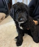 processed/dd25e584-0785-4203-88ca-42e19af1c88f/listing/9fbbf27d-59db-4939-a4f8-f955282e58ed/5b725a48-b7f4-4f3f-a68d-7cfae91a374a