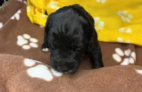 processed/dd25e584-0785-4203-88ca-42e19af1c88f/listing/9fbbf27d-59db-4939-a4f8-f955282e58ed/5f50e8bd-6e3f-42ac-af71-307d98a2a461