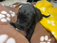 processed/dd25e584-0785-4203-88ca-42e19af1c88f/listing/9fbbf27d-59db-4939-a4f8-f955282e58ed/ad241916-5146-41cb-bee8-8c949cf5e83a