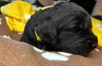 processed/dd25e584-0785-4203-88ca-42e19af1c88f/listing/9fbbf27d-59db-4939-a4f8-f955282e58ed/b30ed2f0-9ae1-460e-b1c6-fbf013fe4d31