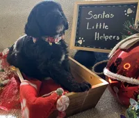 processed/dd25e584-0785-4203-88ca-42e19af1c88f/listing/9fbbf27d-59db-4939-a4f8-f955282e58ed/ddb5da88-d064-421e-b1e6-9a9bdcac4b00