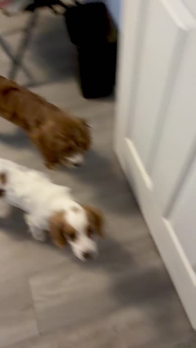 Facility video
