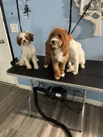 Facility photo