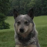 processed/dd2adb6e-80c9-453d-b7b0-357d23f9a0d1/facility/9ceaaaf4-6456-4e0b-91f5-a7ac4785601d