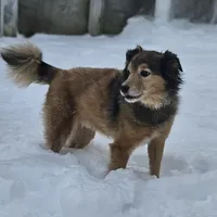 processed/dd30586e-7227-4fda-8348-dd0ec4379ddd/facility/1dbc512d-710c-402e-b9f7-570e21bf999f