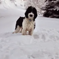 processed/dd30586e-7227-4fda-8348-dd0ec4379ddd/facility/398ddb2b-1da4-49d7-947b-7d6f13d3eec3