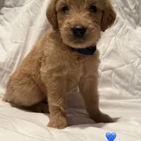 processed/dd30586e-7227-4fda-8348-dd0ec4379ddd/facility/579297c7-f17a-4511-92a6-fcce7a76264a