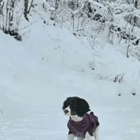 processed/dd30586e-7227-4fda-8348-dd0ec4379ddd/facility/5d4a4a0f-95d5-4dee-95bc-d84b216517a6