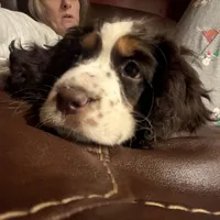 processed/dd30586e-7227-4fda-8348-dd0ec4379ddd/facility/648bde3f-06d0-4e20-a5ab-1a1d5610a595