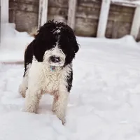 processed/dd30586e-7227-4fda-8348-dd0ec4379ddd/facility/78990fb0-5f0c-4952-8aa0-403501b1800c