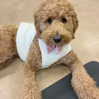 processed/dd30586e-7227-4fda-8348-dd0ec4379ddd/facility/892d9d71-07d6-49b7-8f51-57091e10b6f5