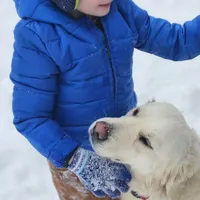 processed/dd30586e-7227-4fda-8348-dd0ec4379ddd/facility/beaaef9a-fdf7-4ebc-9825-50b4f8a42031