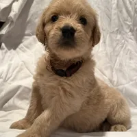 processed/dd30586e-7227-4fda-8348-dd0ec4379ddd/facility/e268a058-b4cb-4249-bea9-3d862dcd253e