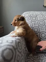 processed/dd321464-64f5-4326-9cbd-1b20652564c7/listing/0537ba57-511e-463c-a800-a789e20a6131/12b62e7c-7796-4eca-a0f2-0611da5ad15e