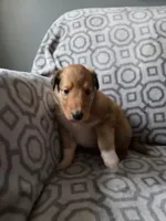 processed/dd321464-64f5-4326-9cbd-1b20652564c7/listing/0537ba57-511e-463c-a800-a789e20a6131/d1cd8e5c-1cb8-4fce-85a1-9309f89164ca