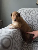 processed/dd321464-64f5-4326-9cbd-1b20652564c7/listing/0537ba57-511e-463c-a800-a789e20a6131/efc43a24-67d0-40af-b031-ae73092354d1