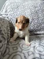 processed/dd321464-64f5-4326-9cbd-1b20652564c7/listing/b96d58a5-3f0a-41fb-8748-8d511b91b080/3fb07934-bde8-4dd2-8aa0-53afeaef741c