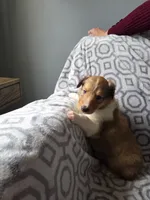 processed/dd321464-64f5-4326-9cbd-1b20652564c7/listing/b96d58a5-3f0a-41fb-8748-8d511b91b080/b93c0677-807c-4ef5-8037-9f21be20e623