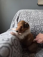 processed/dd321464-64f5-4326-9cbd-1b20652564c7/listing/d9848faf-ca22-4a57-81dd-d47a7804c4da/2c9564dd-c4f0-4965-a705-aabbf824deac