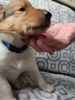 processed/dd321464-64f5-4326-9cbd-1b20652564c7/listing/d9848faf-ca22-4a57-81dd-d47a7804c4da/a80a0cbf-e28a-4b24-ba4e-b99d2723ec7a