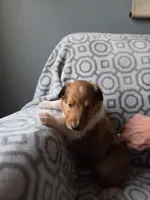 processed/dd321464-64f5-4326-9cbd-1b20652564c7/listing/d9848faf-ca22-4a57-81dd-d47a7804c4da/ac163fab-ccba-4e55-8152-c70a5d0413c9