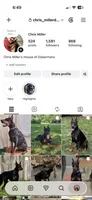 Female 2, a female Doberman Pinscher for sale in Newton, NC – 9 of 9