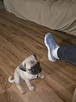 processed/dd3317f4-387c-4f15-bb63-a010bb28fb70/listing/7e7cda22-861b-4b19-b304-31f0b302a4c4/158bf56d-4790-4869-9cb6-85391a98917d