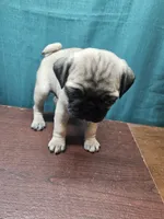 processed/dd3317f4-387c-4f15-bb63-a010bb28fb70/listing/7e7cda22-861b-4b19-b304-31f0b302a4c4/657f7363-467e-48ca-aebb-38f7a21fa204