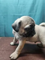 processed/dd3317f4-387c-4f15-bb63-a010bb28fb70/listing/7e7cda22-861b-4b19-b304-31f0b302a4c4/d08d5268-5af9-44d7-8ed9-2450cc1031df