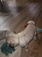 processed/dd3317f4-387c-4f15-bb63-a010bb28fb70/listing/7e7cda22-861b-4b19-b304-31f0b302a4c4/e5c36ef2-a10b-4967-93bc-d062b8cef7e5