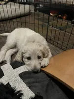 processed/dd36e1b5-6164-4f22-b990-d79d02360a0d/listing/a86aa82a-e7c7-480a-a121-1257fdbdf2da/3a25433c-684b-4ed9-8921-c233e9cf0732