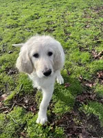 processed/dd36e1b5-6164-4f22-b990-d79d02360a0d/listing/a86aa82a-e7c7-480a-a121-1257fdbdf2da/41e00a96-23b2-48e3-96ca-2baf2bceed44