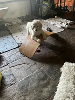 processed/dd36e1b5-6164-4f22-b990-d79d02360a0d/listing/a86aa82a-e7c7-480a-a121-1257fdbdf2da/4f3ac335-100a-41d7-8cd8-f57b8b00eccb