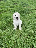 processed/dd36e1b5-6164-4f22-b990-d79d02360a0d/listing/a86aa82a-e7c7-480a-a121-1257fdbdf2da/545fd631-668d-40c7-8c38-43b7d2f2222f