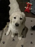 processed/dd36e1b5-6164-4f22-b990-d79d02360a0d/listing/a86aa82a-e7c7-480a-a121-1257fdbdf2da/91b50b2f-9ad6-417e-bb1c-e745257c57f3