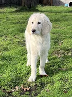 processed/dd36e1b5-6164-4f22-b990-d79d02360a0d/listing/a86aa82a-e7c7-480a-a121-1257fdbdf2da/ca8b1e68-058d-4fd8-b4d3-a48ad999eb4e