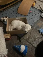 processed/dd36e1b5-6164-4f22-b990-d79d02360a0d/listing/a86aa82a-e7c7-480a-a121-1257fdbdf2da/cc9f1f39-6e47-46d4-9491-9e3634fc7567