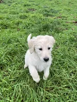 processed/dd36e1b5-6164-4f22-b990-d79d02360a0d/listing/a86aa82a-e7c7-480a-a121-1257fdbdf2da/e89ee8df-e363-4044-afe5-6af8b241d784