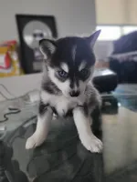 processed/dd43c957-471b-42c2-8a63-6e25aa444316/listing/c85b7d36-1e75-4c45-abb2-6653925f4d76/17ad960e-3384-4f52-a37d-9c696f712367