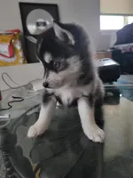 processed/dd43c957-471b-42c2-8a63-6e25aa444316/listing/c85b7d36-1e75-4c45-abb2-6653925f4d76/3a41c679-f25a-43e3-a7b4-656ec13af038