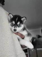 processed/dd43c957-471b-42c2-8a63-6e25aa444316/listing/c85b7d36-1e75-4c45-abb2-6653925f4d76/9ad0ade4-7721-42a3-b8a4-216c812f742d