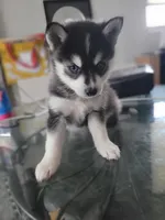 processed/dd43c957-471b-42c2-8a63-6e25aa444316/listing/c85b7d36-1e75-4c45-abb2-6653925f4d76/a849595b-9e40-4d78-8ef8-63d0e2d8c389