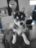 processed/dd43c957-471b-42c2-8a63-6e25aa444316/listing/c85b7d36-1e75-4c45-abb2-6653925f4d76/d3758b8f-ebf9-46e8-b8d2-712cafe4da3c