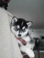 processed/dd43c957-471b-42c2-8a63-6e25aa444316/listing/c85b7d36-1e75-4c45-abb2-6653925f4d76/ebeb42f1-f8d8-470e-9890-109823b08f46