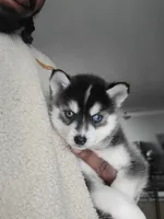 processed/dd43c957-471b-42c2-8a63-6e25aa444316/listing/c85b7d36-1e75-4c45-abb2-6653925f4d76/f3f44a54-bafe-4ef1-b72a-4a6ad0cdaf6e