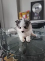 processed/dd43c957-471b-42c2-8a63-6e25aa444316/listing/f6003507-a1f7-44a2-95b9-22e2bc26f6e0/119aa150-2941-43aa-bc5e-a299420067a6